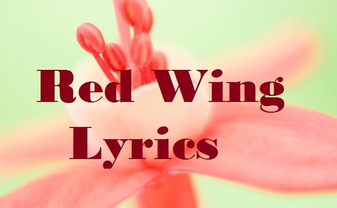 red wing lyrics