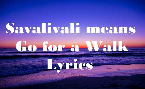 Savalivali means Go for a Walk Lyrics