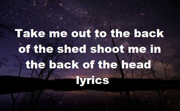 Take me out to the back of the shed shoot me in the back of the head lyrics