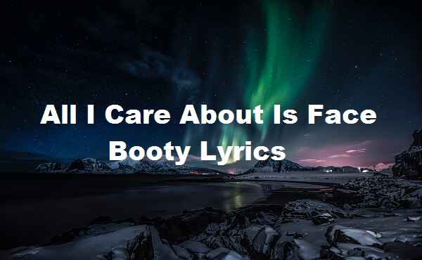 All I Care About Is Face Booty Lyrics