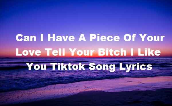 Can I Have A Piece Of Your Love Tell Your Bitch I Like You Tiktok Song Lyrics