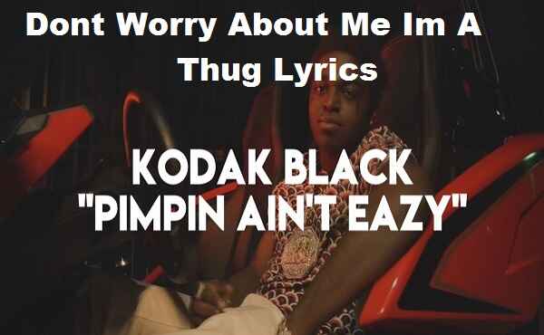 Dont Worry About Me Im A Thug Lyrics