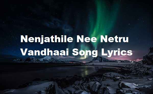 Nenjathile Nee Netru Vandhaai Song Lyrics