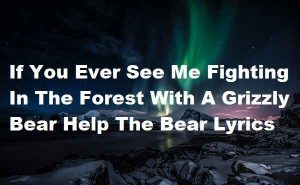 If You Ever See Me Fighting In The Forest With A Grizzly Bear Help The Bear Lyrics 300x185 