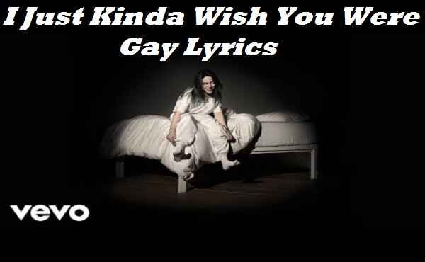 I Just Kinda Wish You Were Gay Lyrics