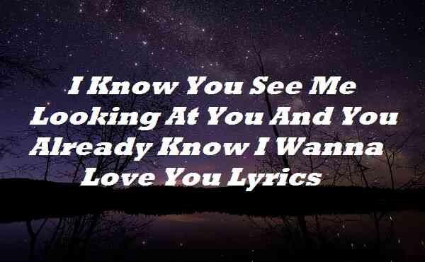 I Know You See Me Looking At You And You Already Know I Wanna Love You Lyrics