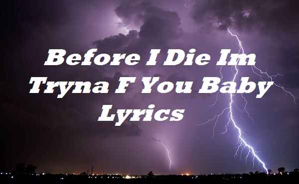 Before I Die Im Tryna F You Baby Lyrics