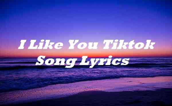 I Like You Tiktok Song Lyrics