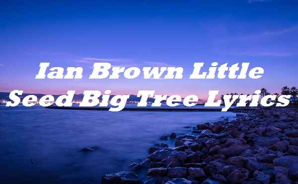 Ian Brown Little Seed Big Tree Lyrics