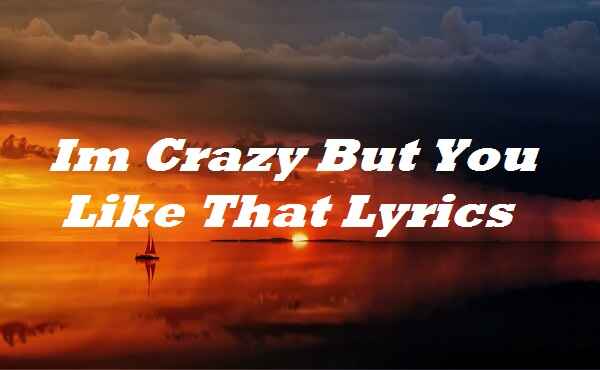 Im Crazy But You Like That Lyrics Song Songlyricsplace