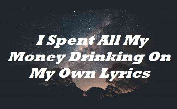 I Spent All My Money Drinking On My Own Lyrics