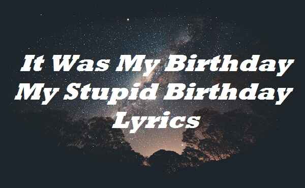 It Was My Birthday My Stupid Birthday Lyrics
