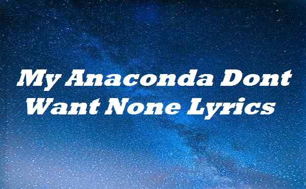 My Anaconda Dont Want None Lyrics
