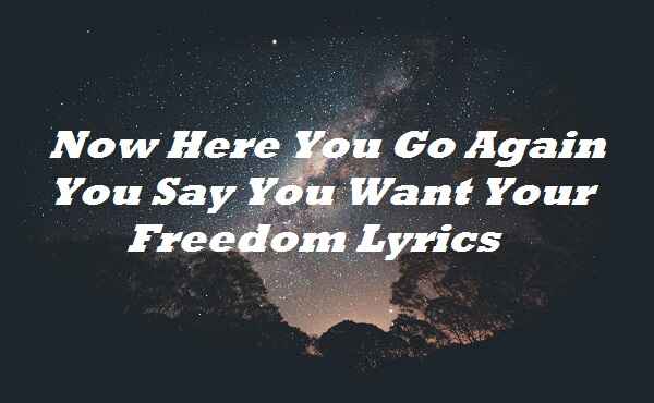 Now Here You Go Again You Say You Want Your Freedom Lyrics