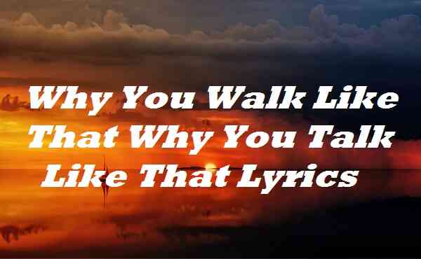 Why You Walk Like That Why You Talk Like That Lyrics