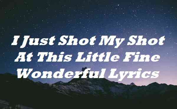 I Just Shot My Shot At This Little Fine Wonderful Lyrics