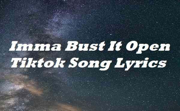 Imma Bust It Open Tiktok Song Lyrics