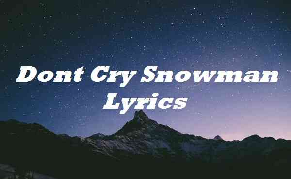 Dont Cry Snowman Lyrics