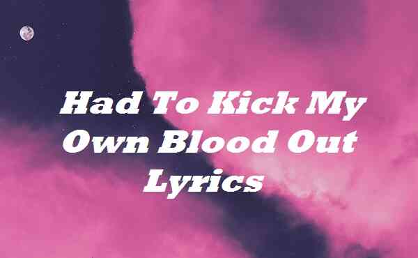 Had To Kick My Own Blood Out Lyrics