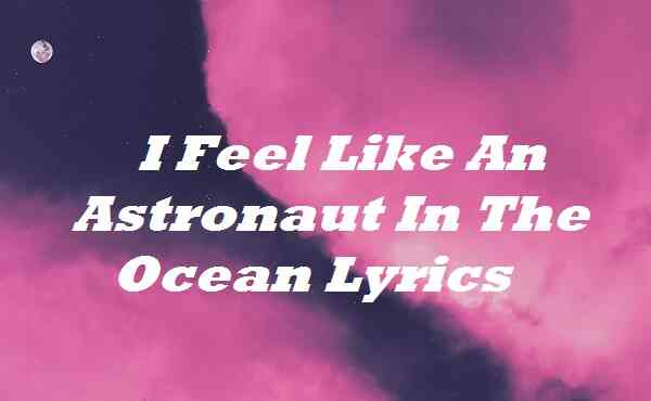 I Feel Like An Astronaut In The Ocean Lyrics
