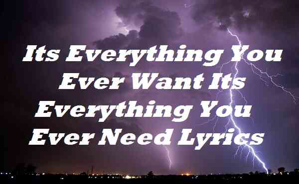 Its Everything You Ever Want Its Everything You Ever Need Lyrics