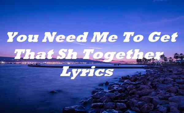 You Need Me To Get That Sh Together Lyrics