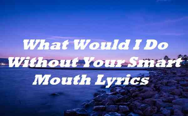 What Would I Do Without Your Smart Mouth Lyrics
