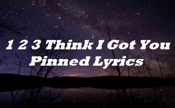 1 2 3 Think I Got You Pinned Lyrics
