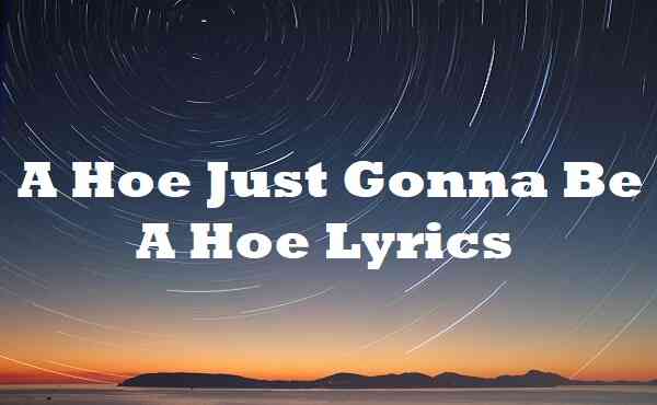 A Hoe Just Gonna Be a Hoe Lyrics
