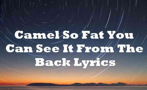 Camel So Fat You Can See It From The Back Lyrics