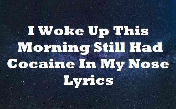 I Woke Up This Morning Still Had Cocaine In My Nose Lyrics