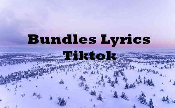 Bundles Lyrics Tiktok