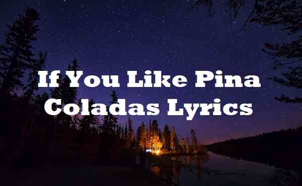 If You Like Pina Coladas Lyrics