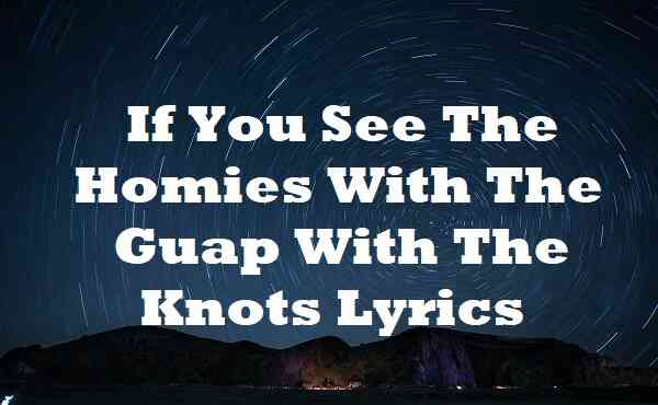 If You See The Homies With The Guap With The Knots Lyrics