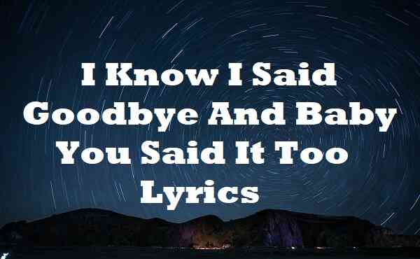 I Know I Said Goodbye And Baby You Said It Too Lyrics