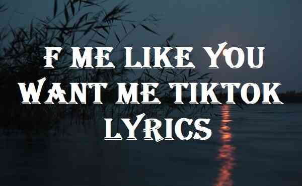F Me Like You Want Me Tiktok Lyrics