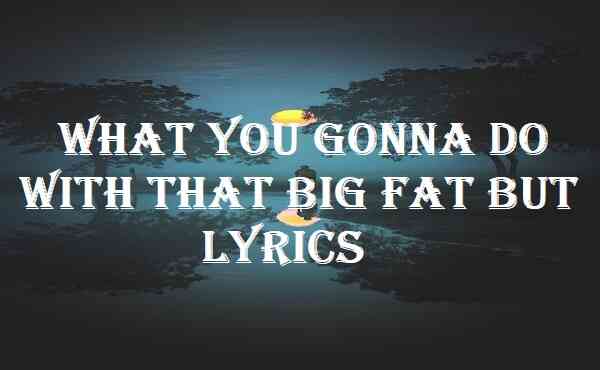 What You Gonna Do With That Big Fat But Lyrics